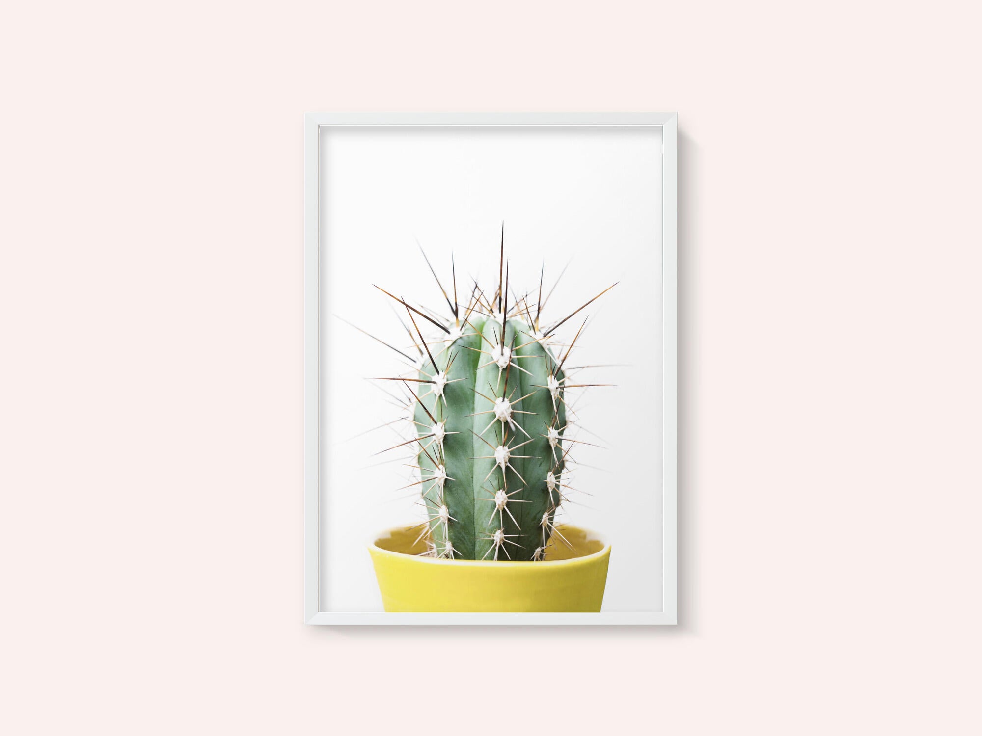 Spikey Cactus