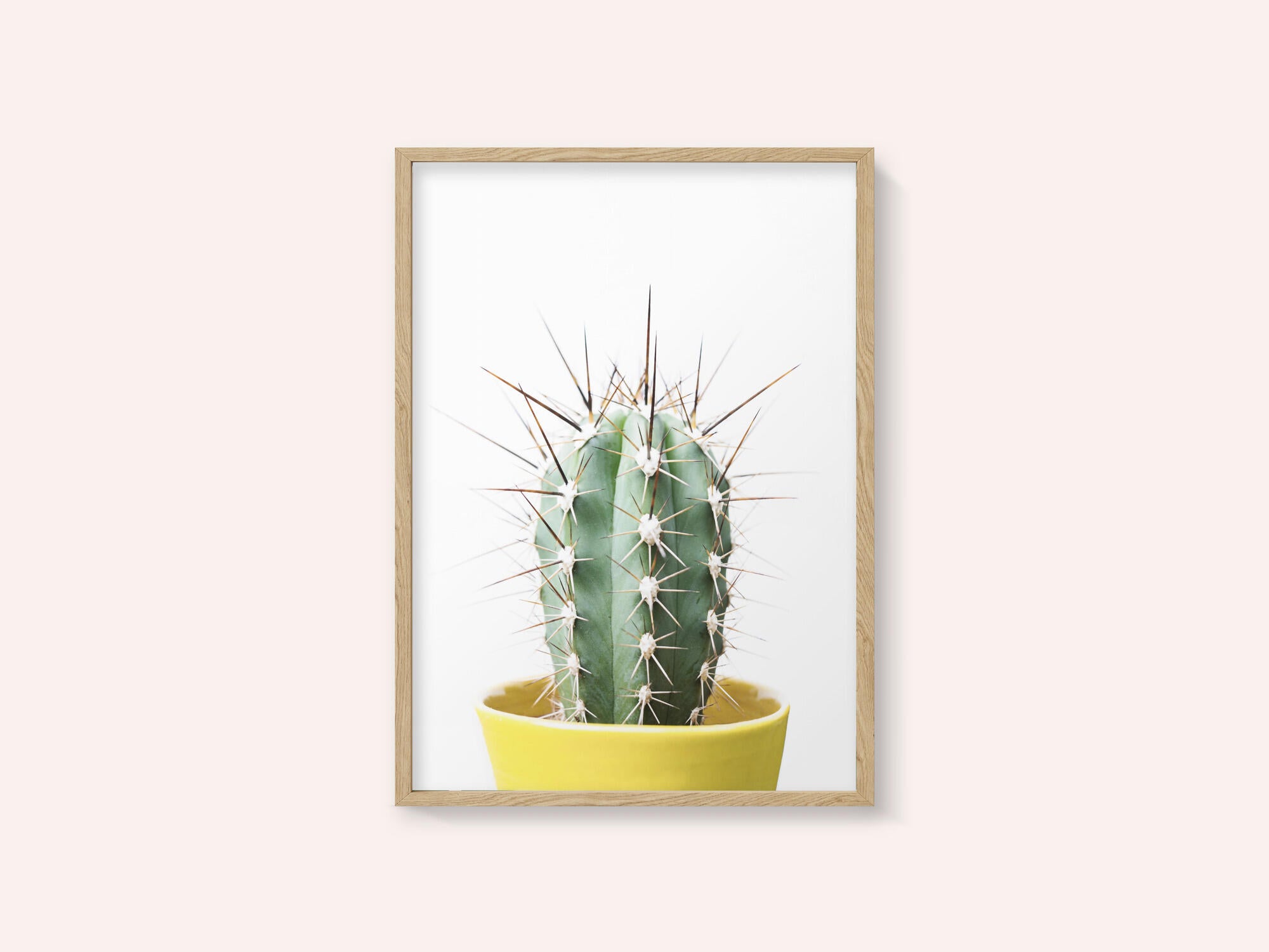 Spikey Cactus