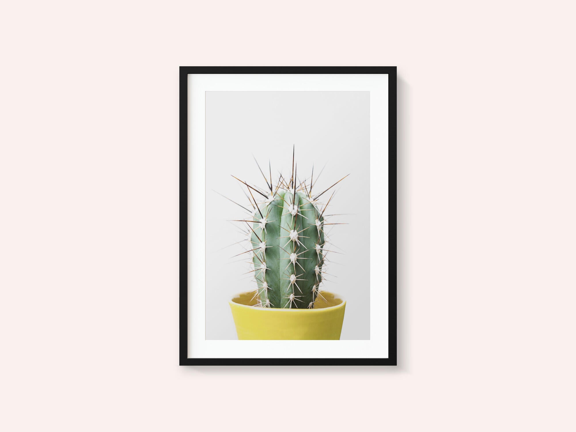 Spikey Cactus