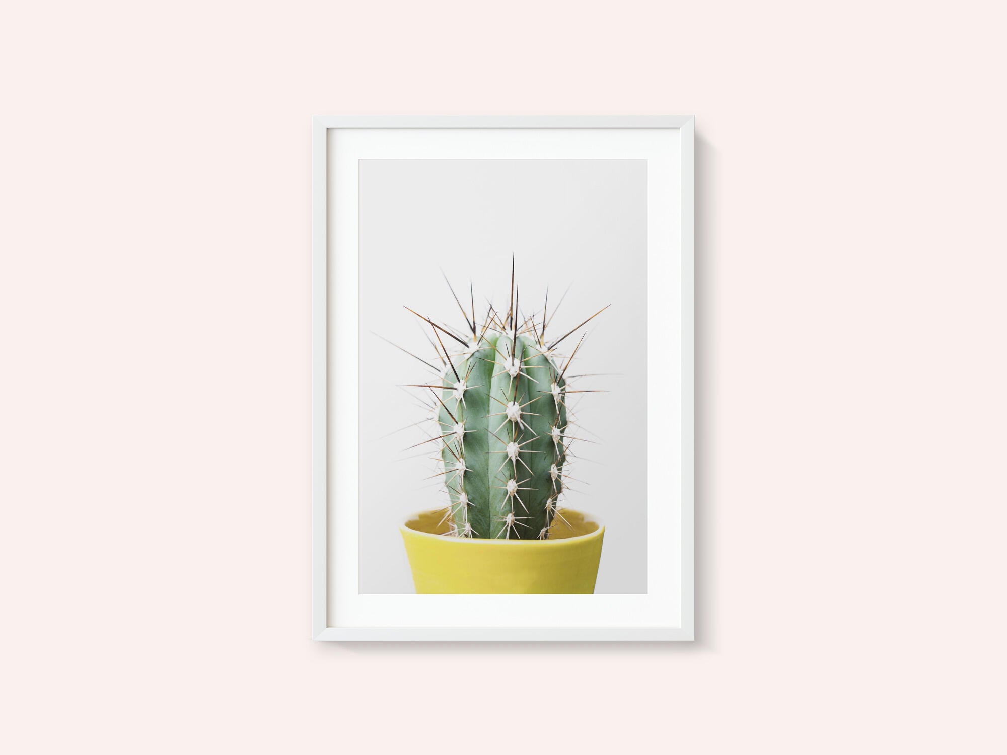 Spikey Cactus