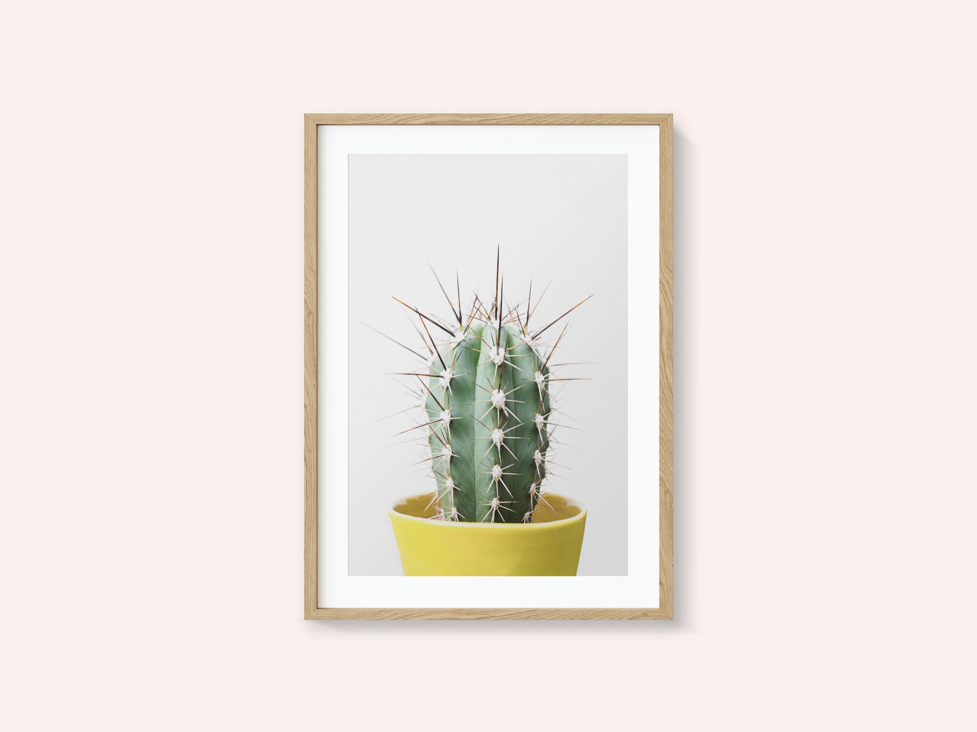 Spikey Cactus