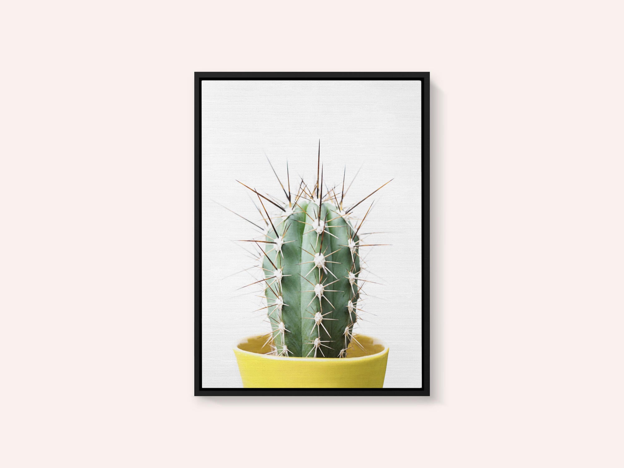 Spikey Cactus