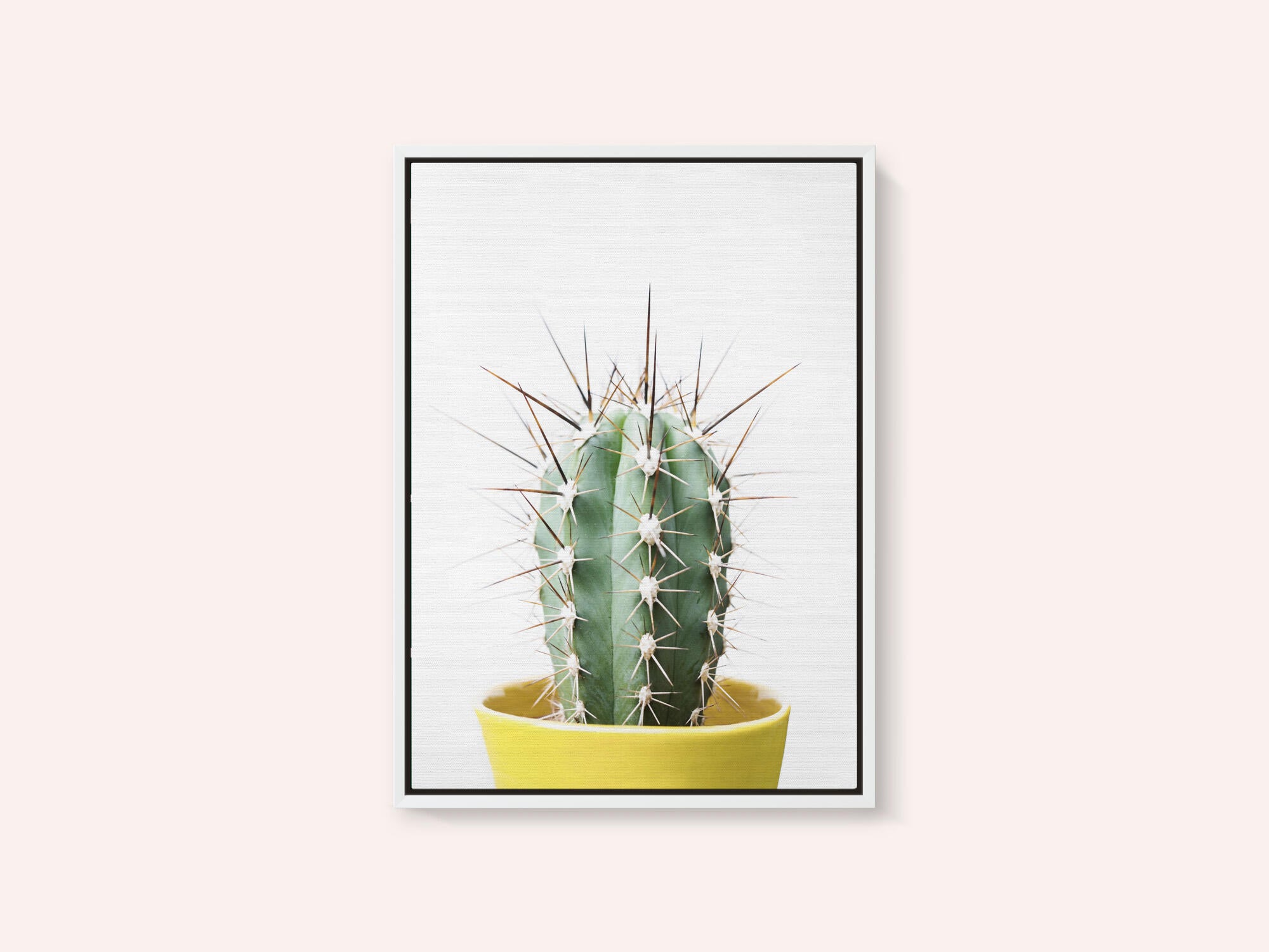 Spikey Cactus
