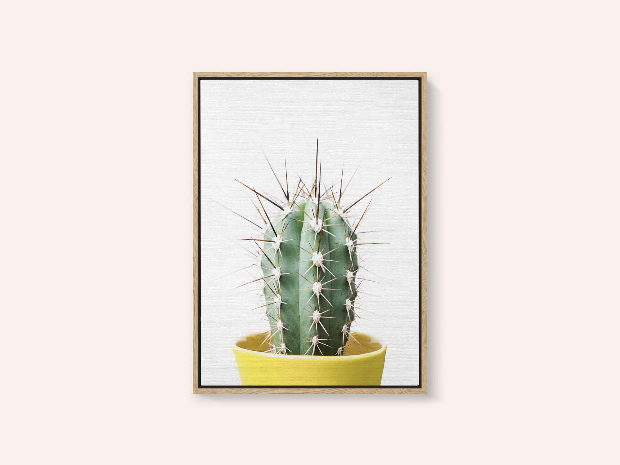 Spikey Cactus
