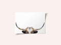 Peeking Longhorn Cow