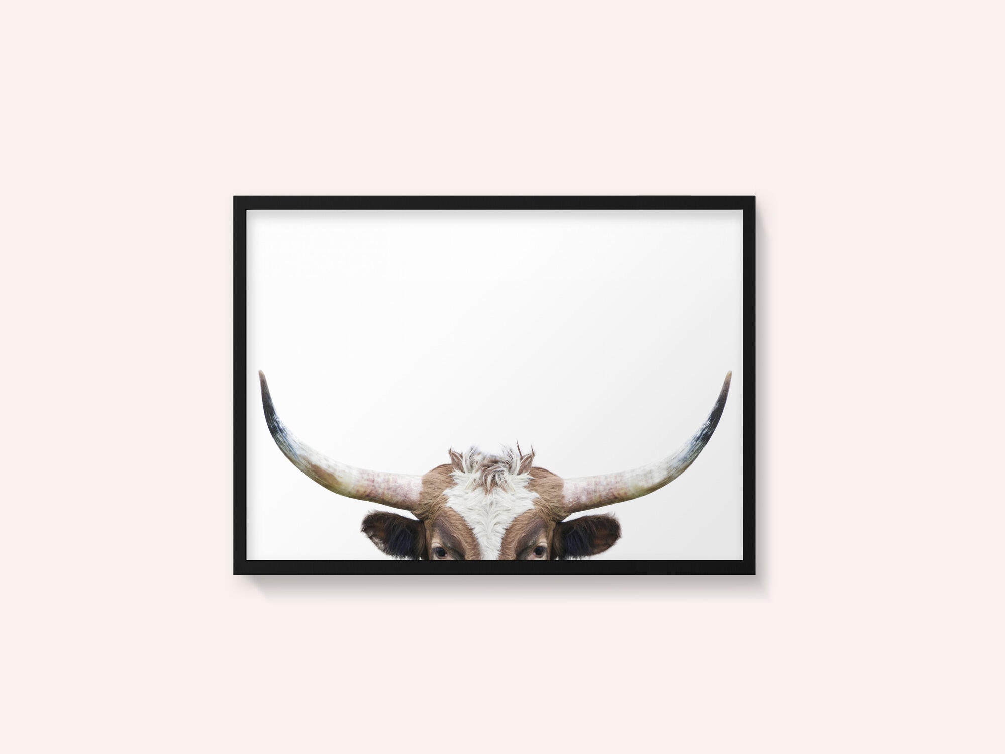 Peeking Longhorn Cow