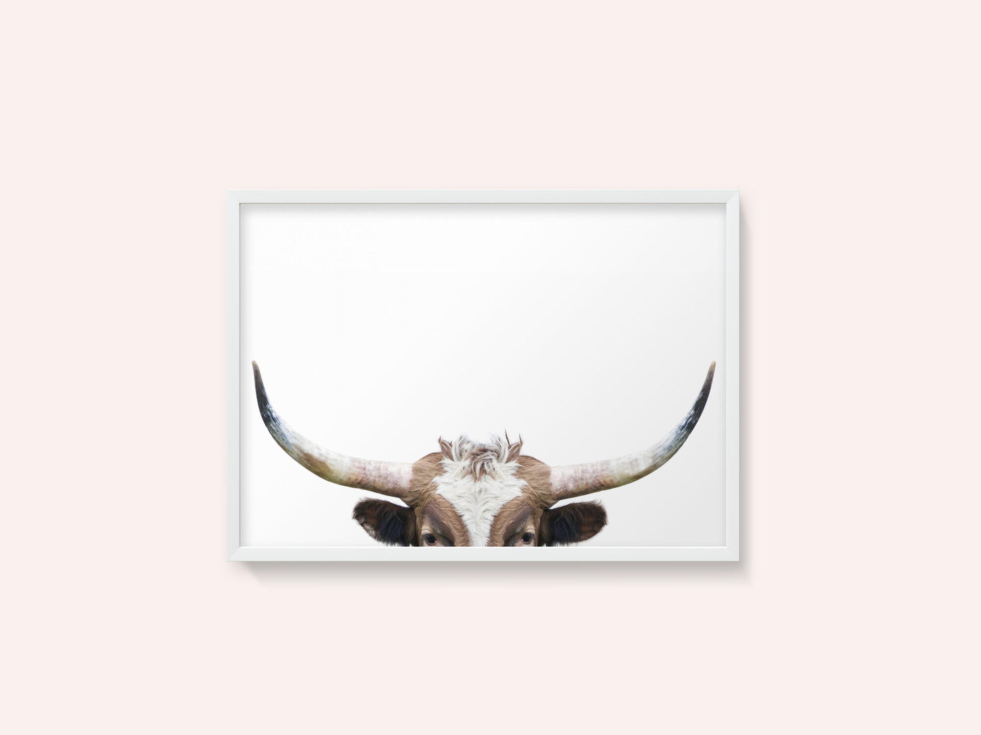 Peeking Longhorn Cow