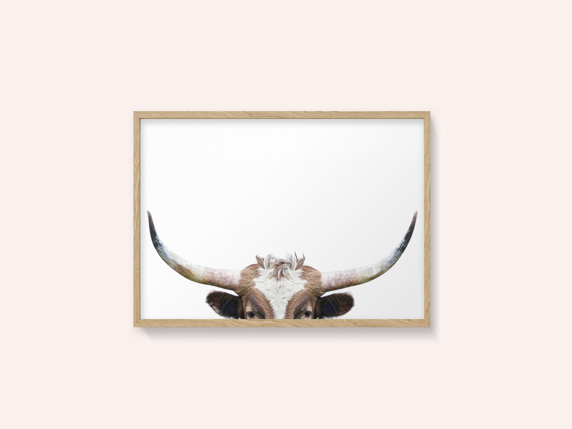 Peeking Longhorn Cow