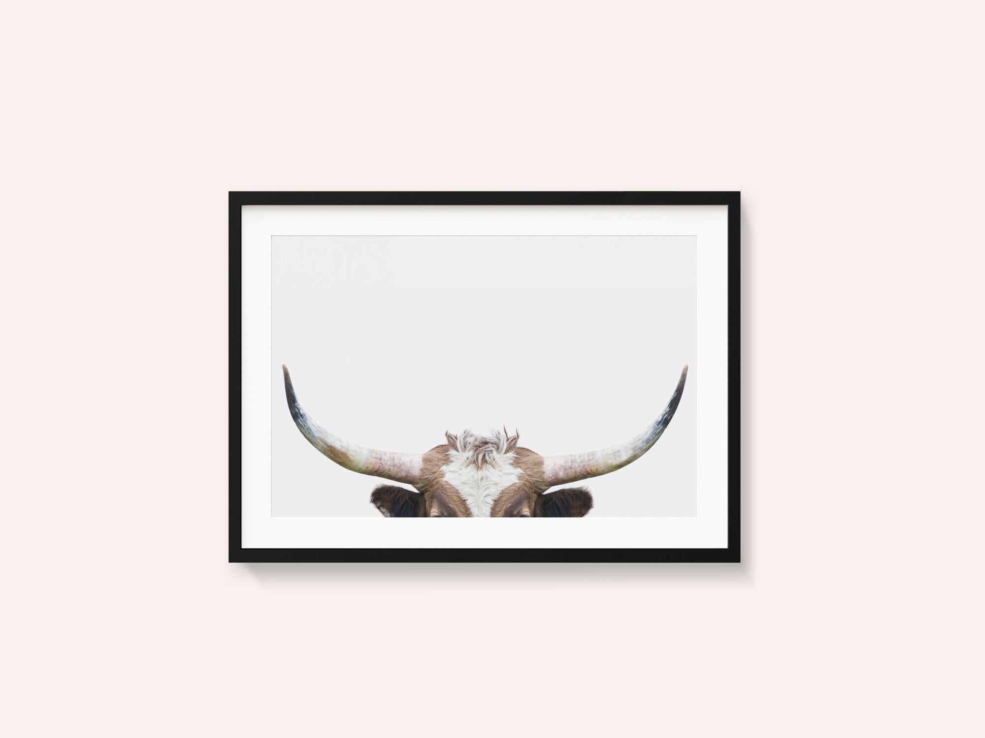 Peeking Longhorn Cow