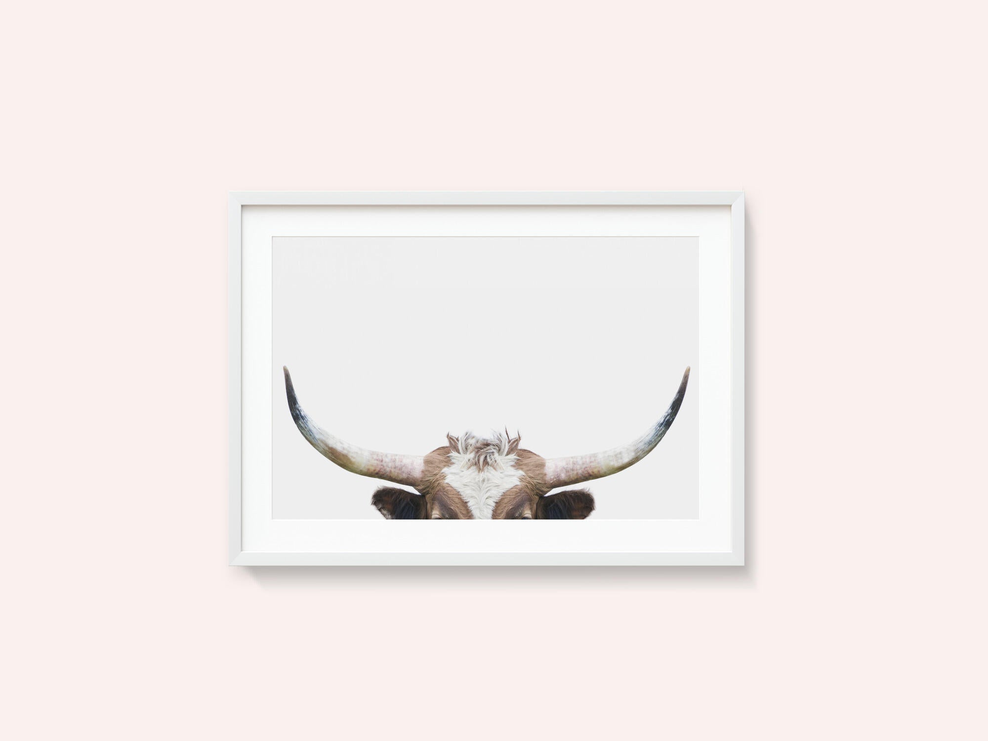 Peeking Longhorn Cow