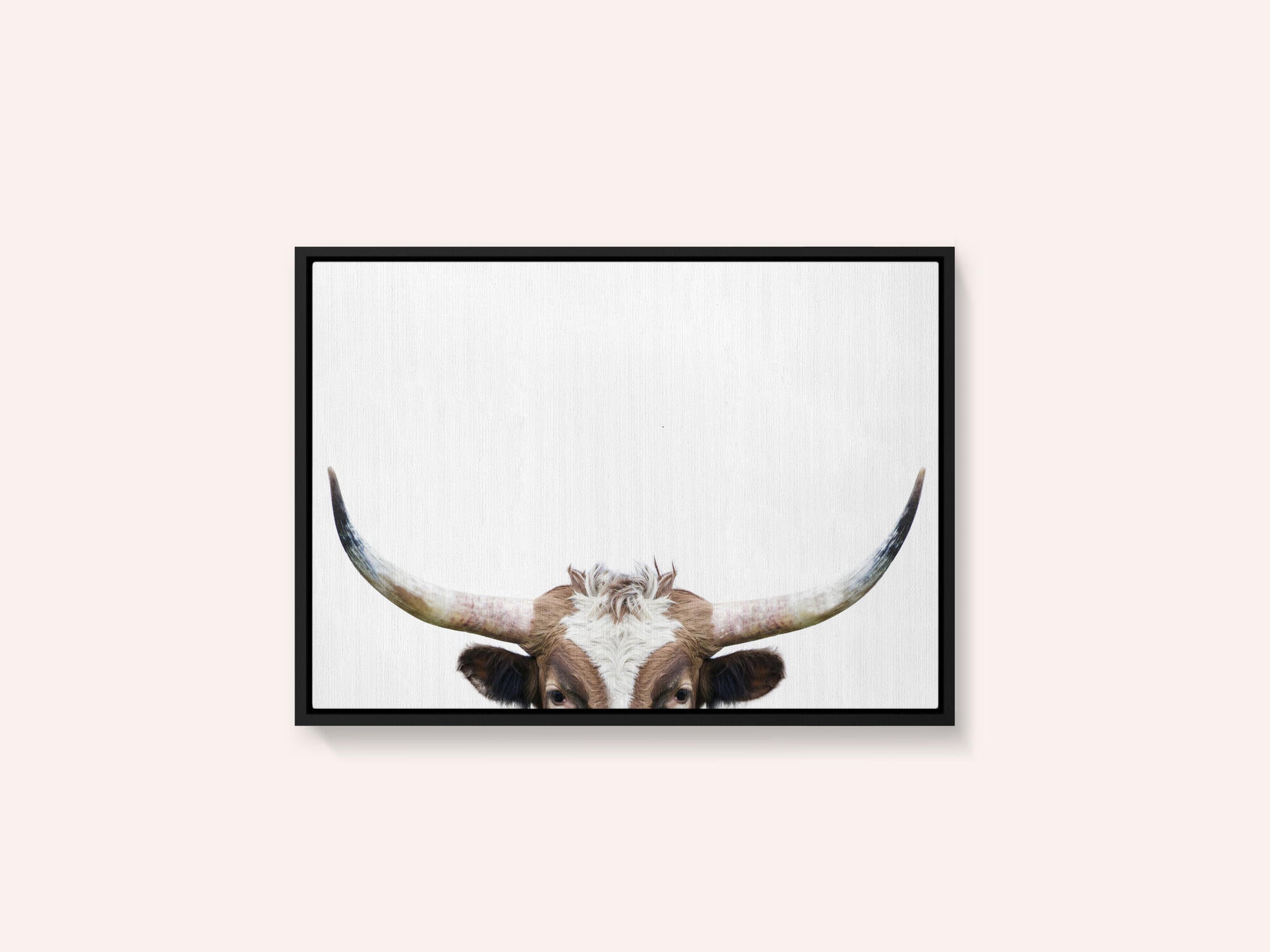 Peeking Longhorn Cow