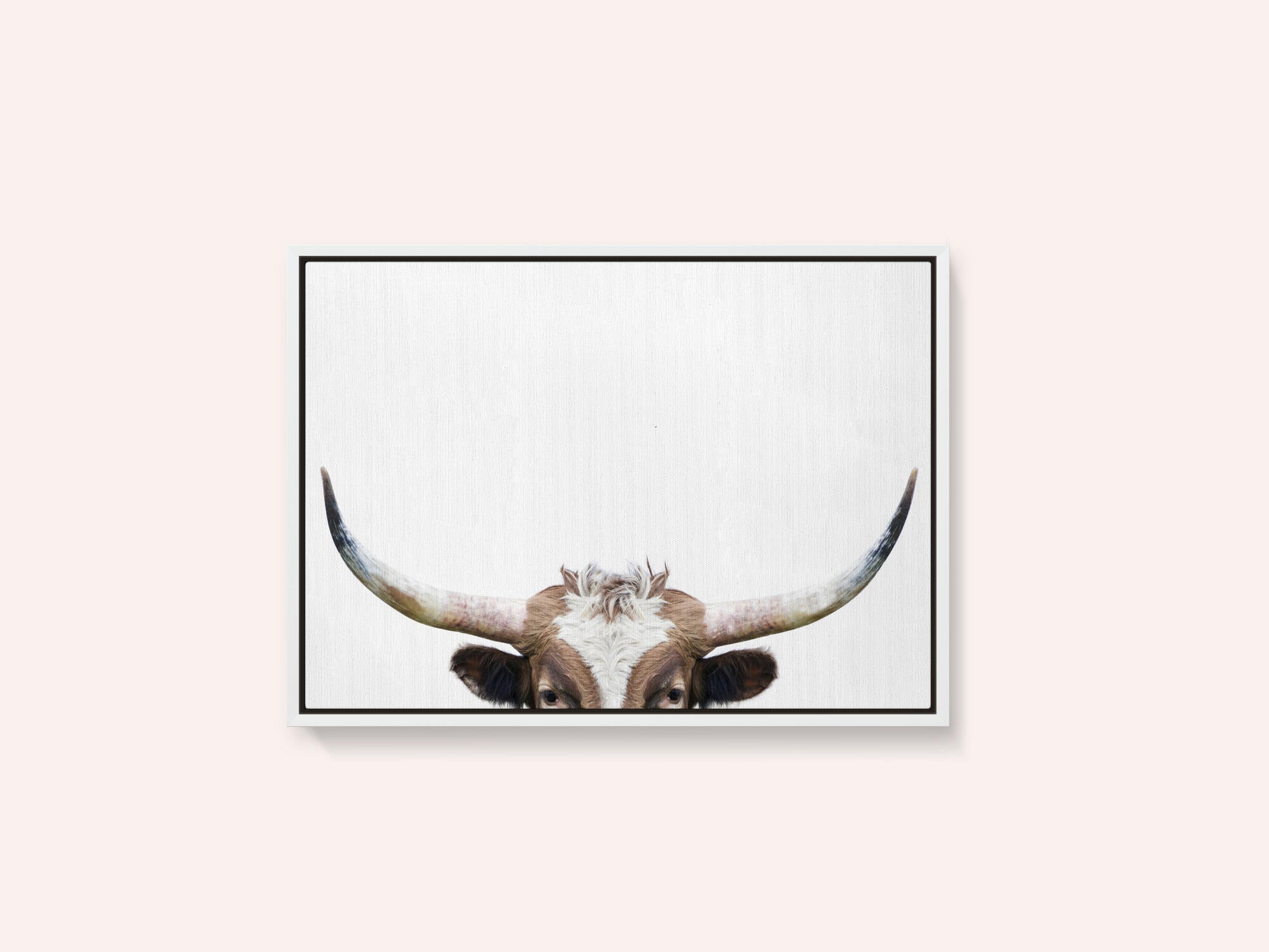 Peeking Longhorn Cow