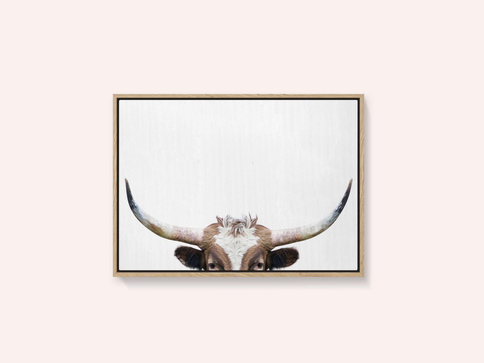 Peeking Longhorn Cow
