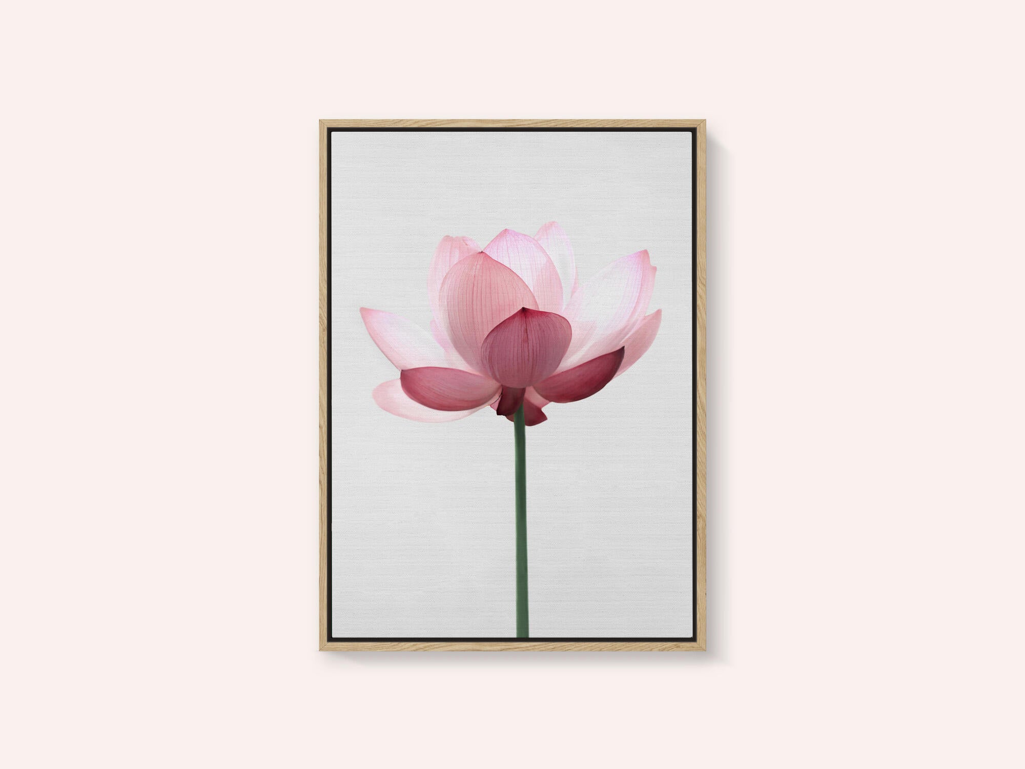 Lotus Flower