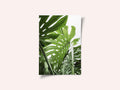 Jungle