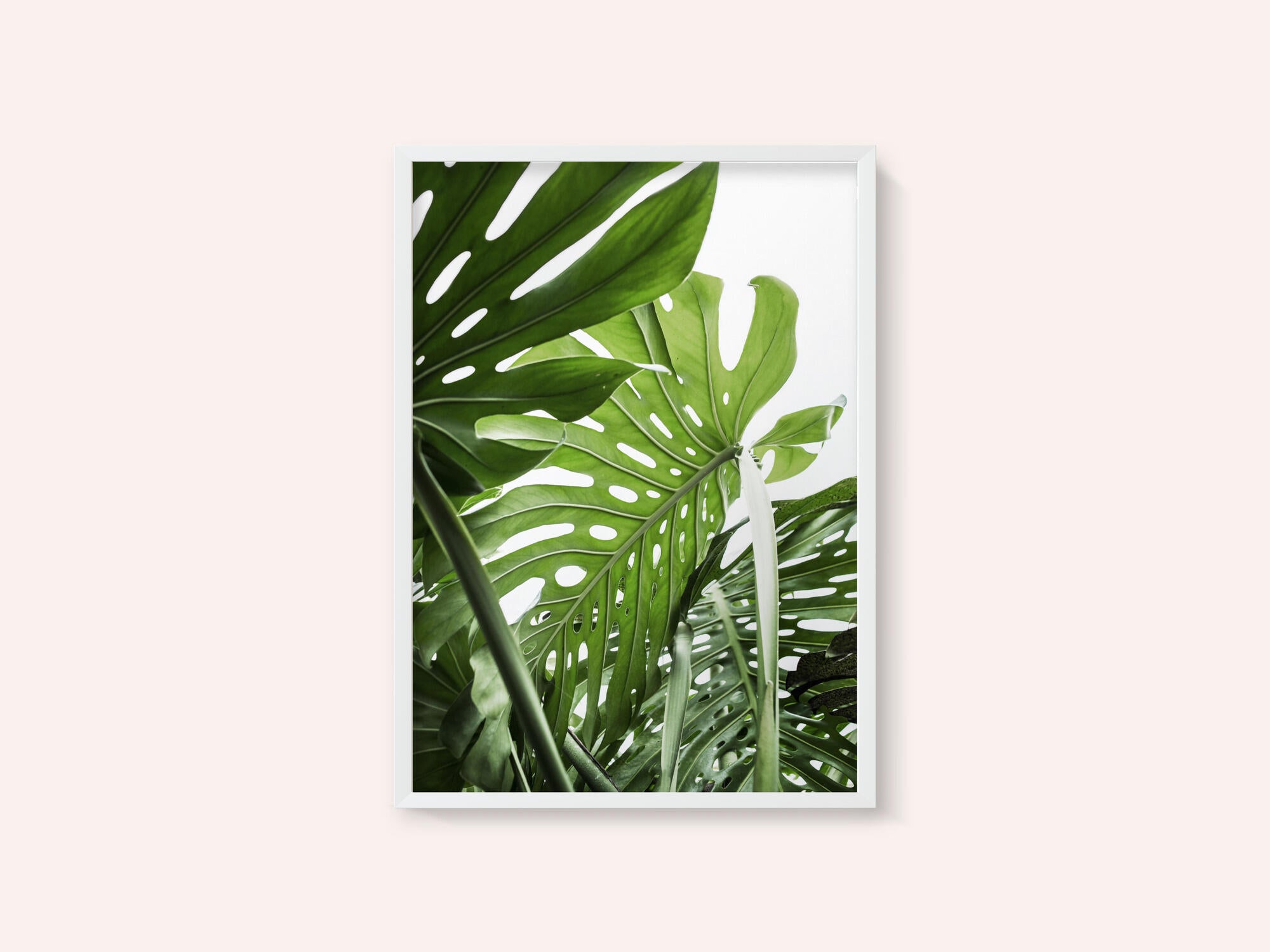 Jungle