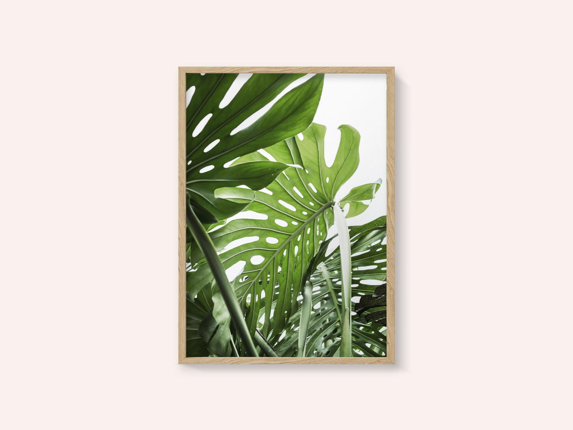 Jungle