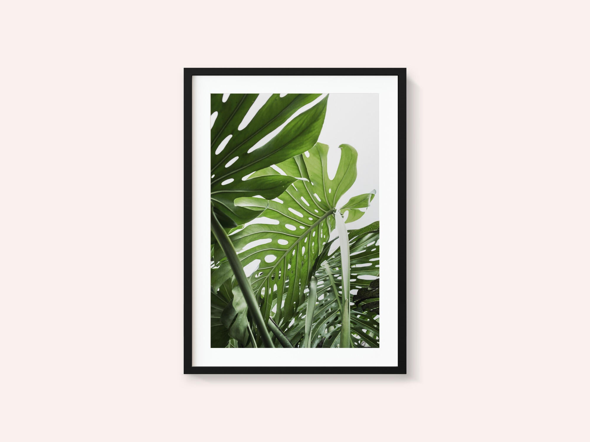 Jungle