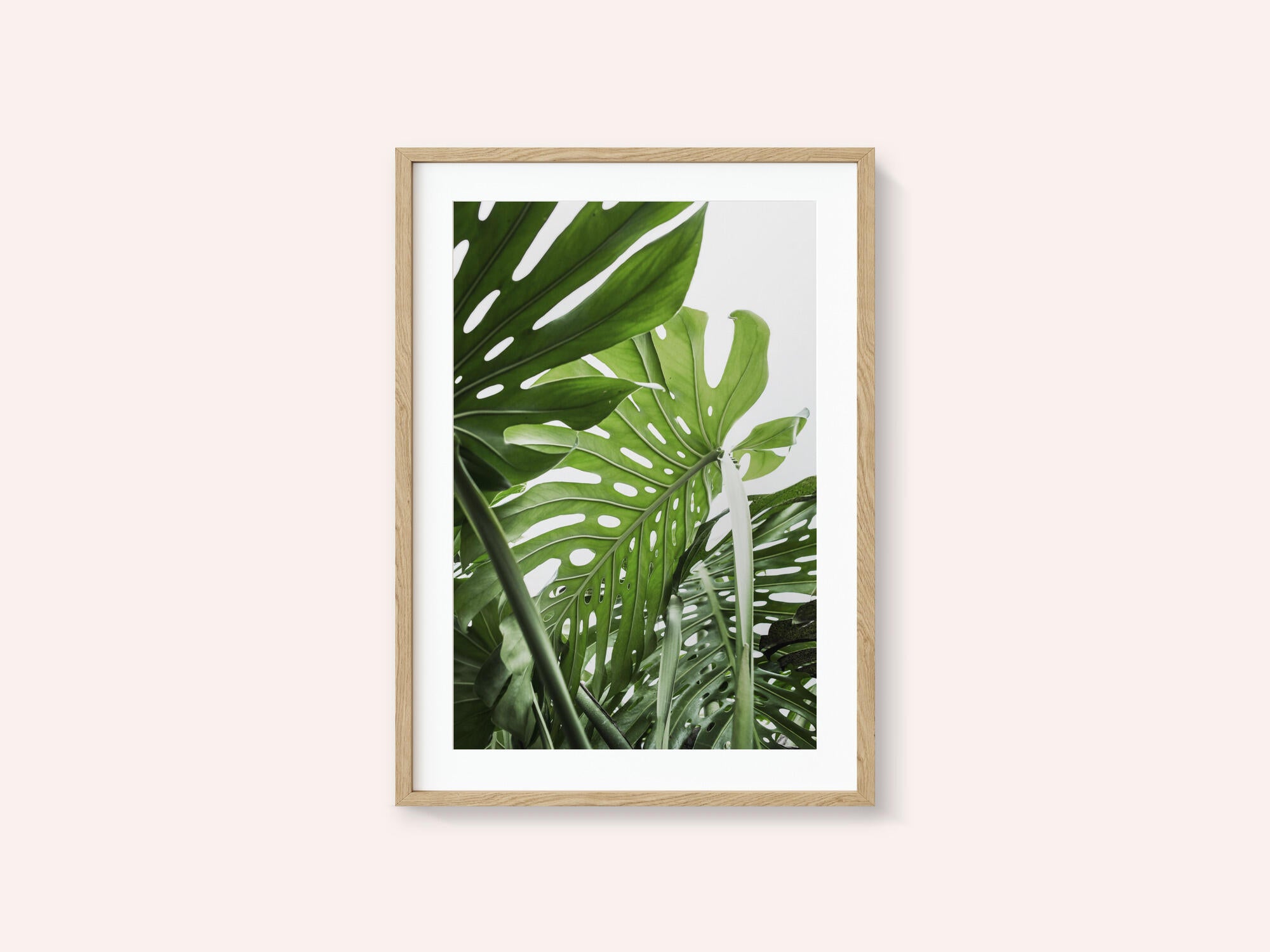 Jungle