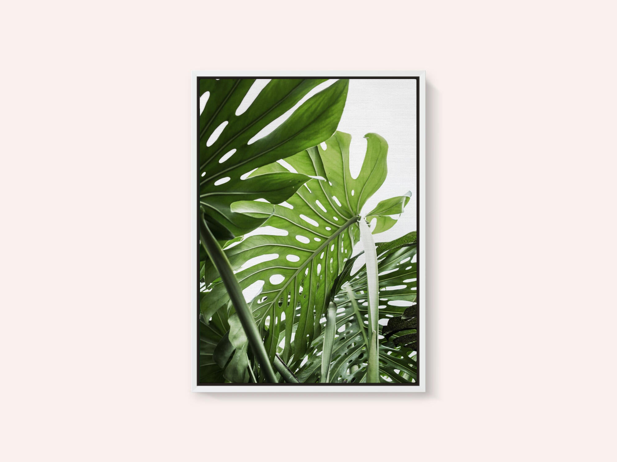 Jungle
