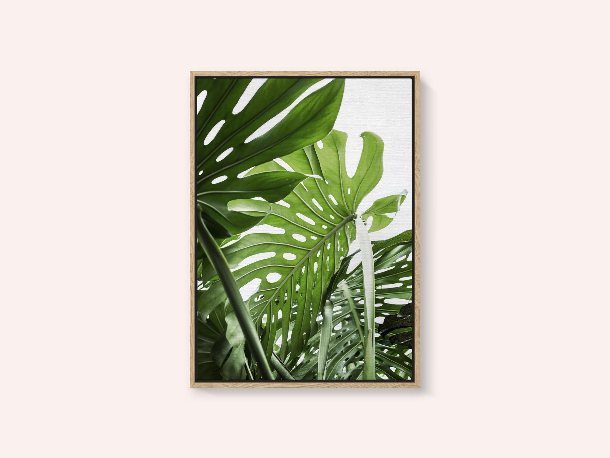Jungle