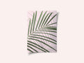 Palm Leaf Shadow