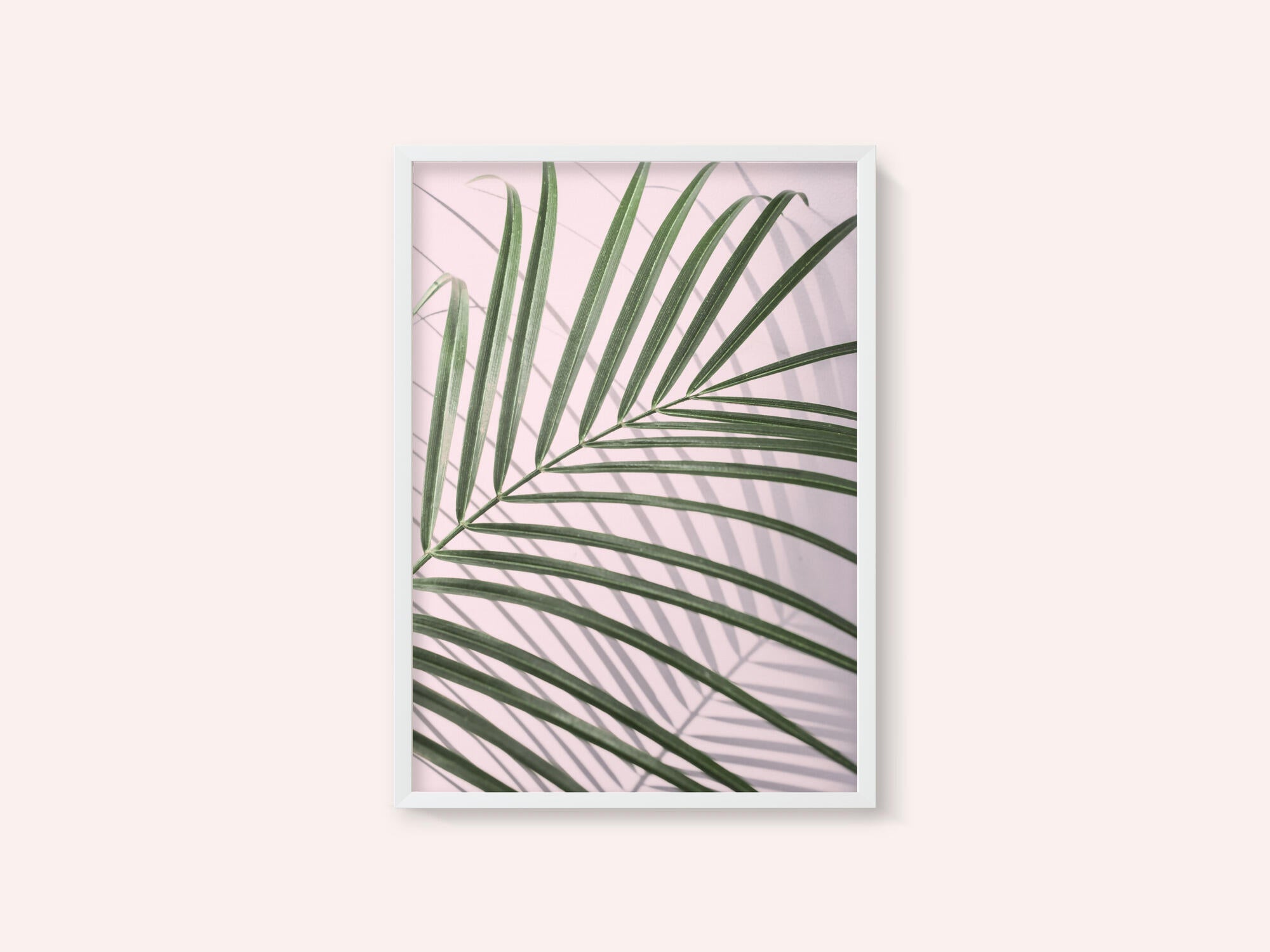 Palm Leaf Shadow