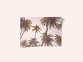 Blush Palm Trees