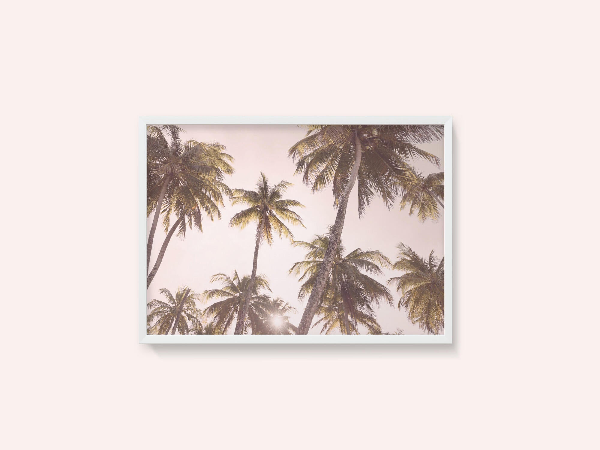 Blush Palm Trees