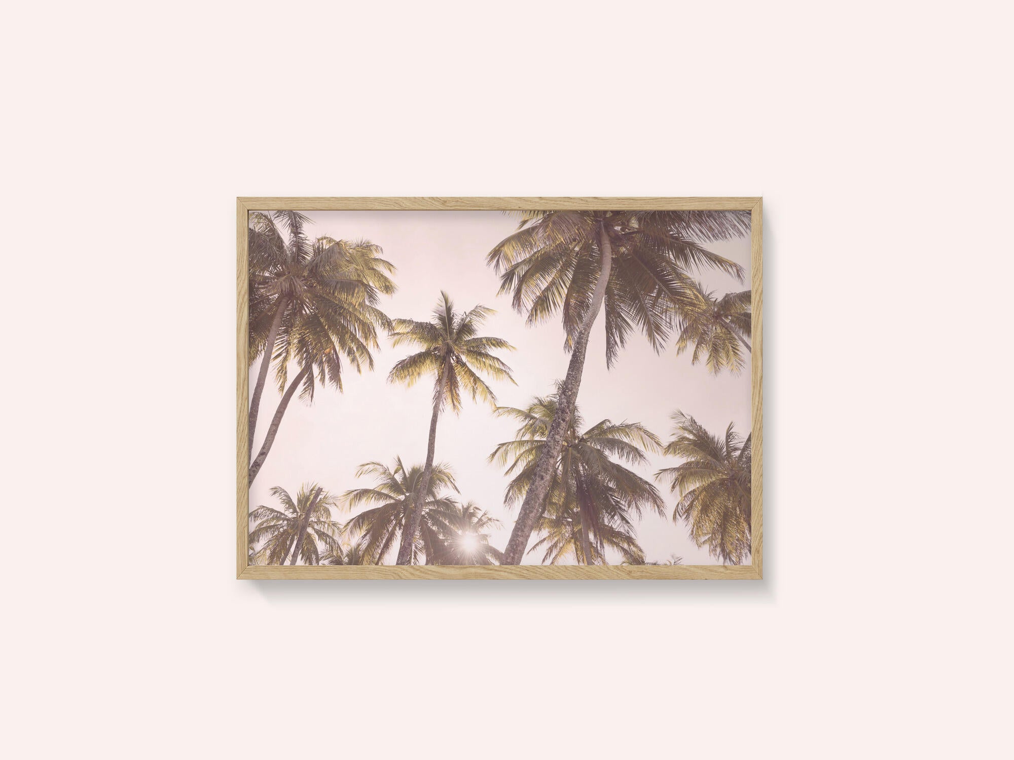 Blush Palm Trees