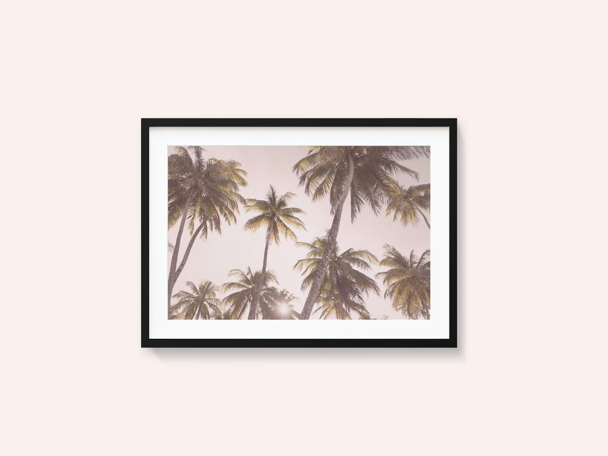 Blush Palm Trees