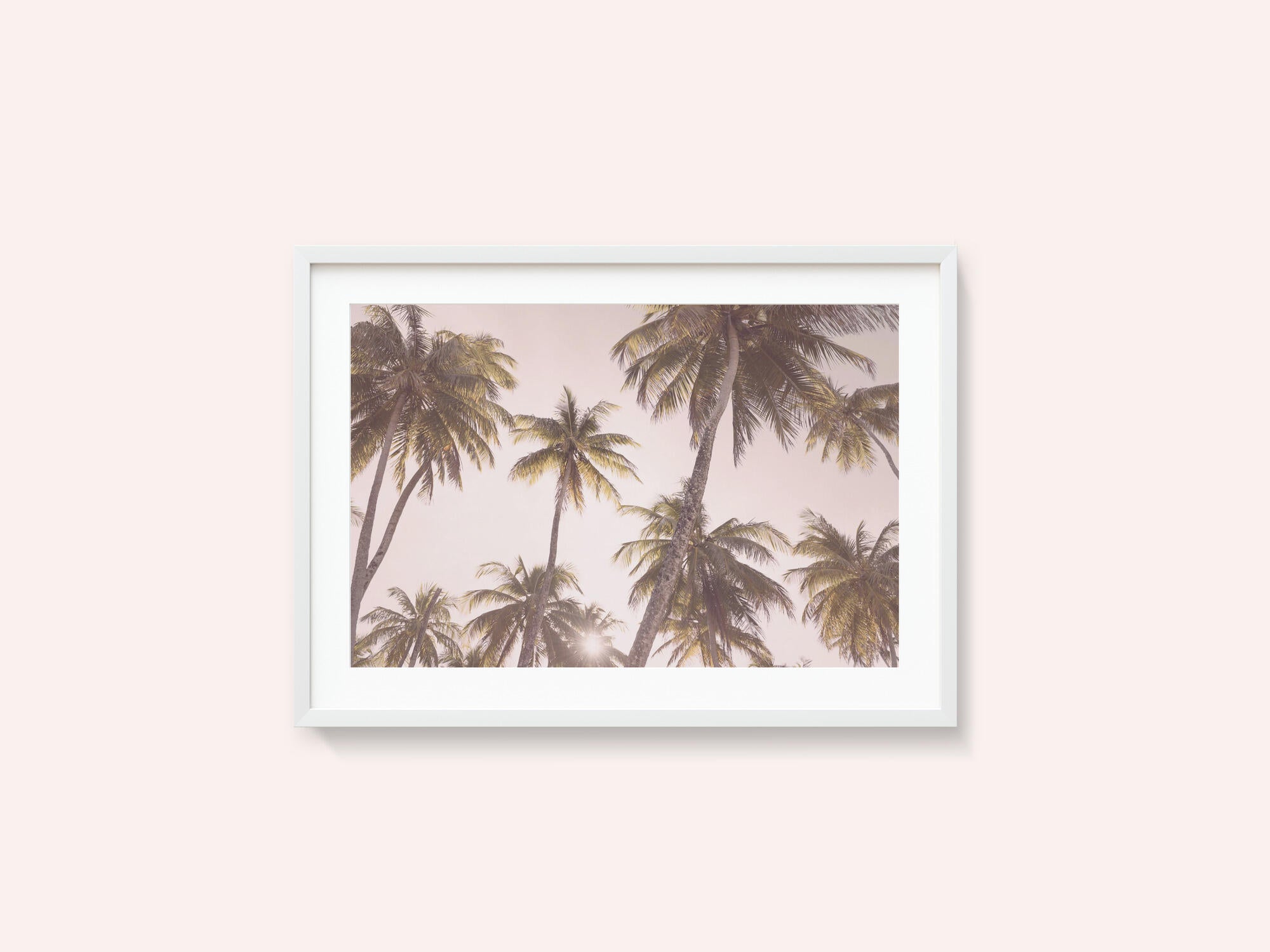 Blush Palm Trees