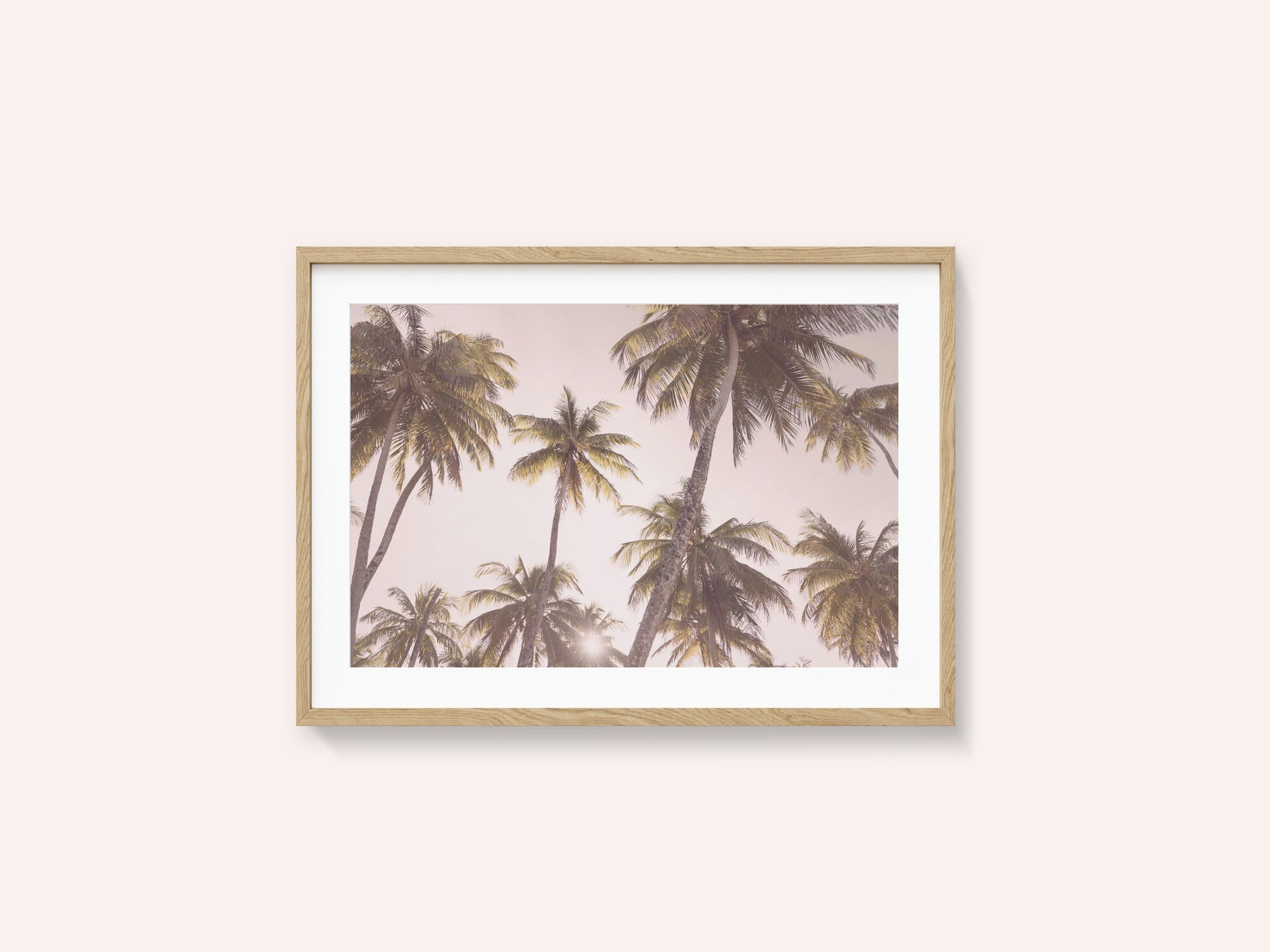 Blush Palm Trees