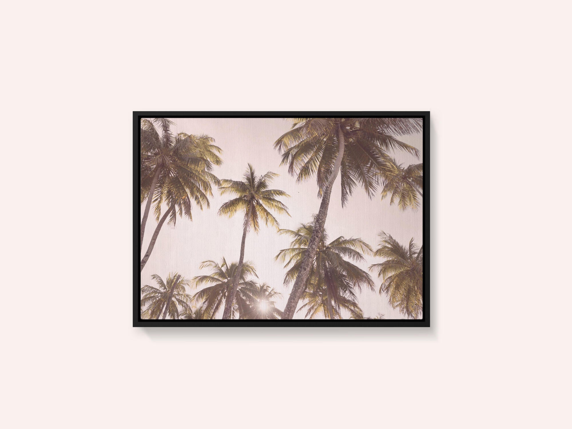 Blush Palm Trees