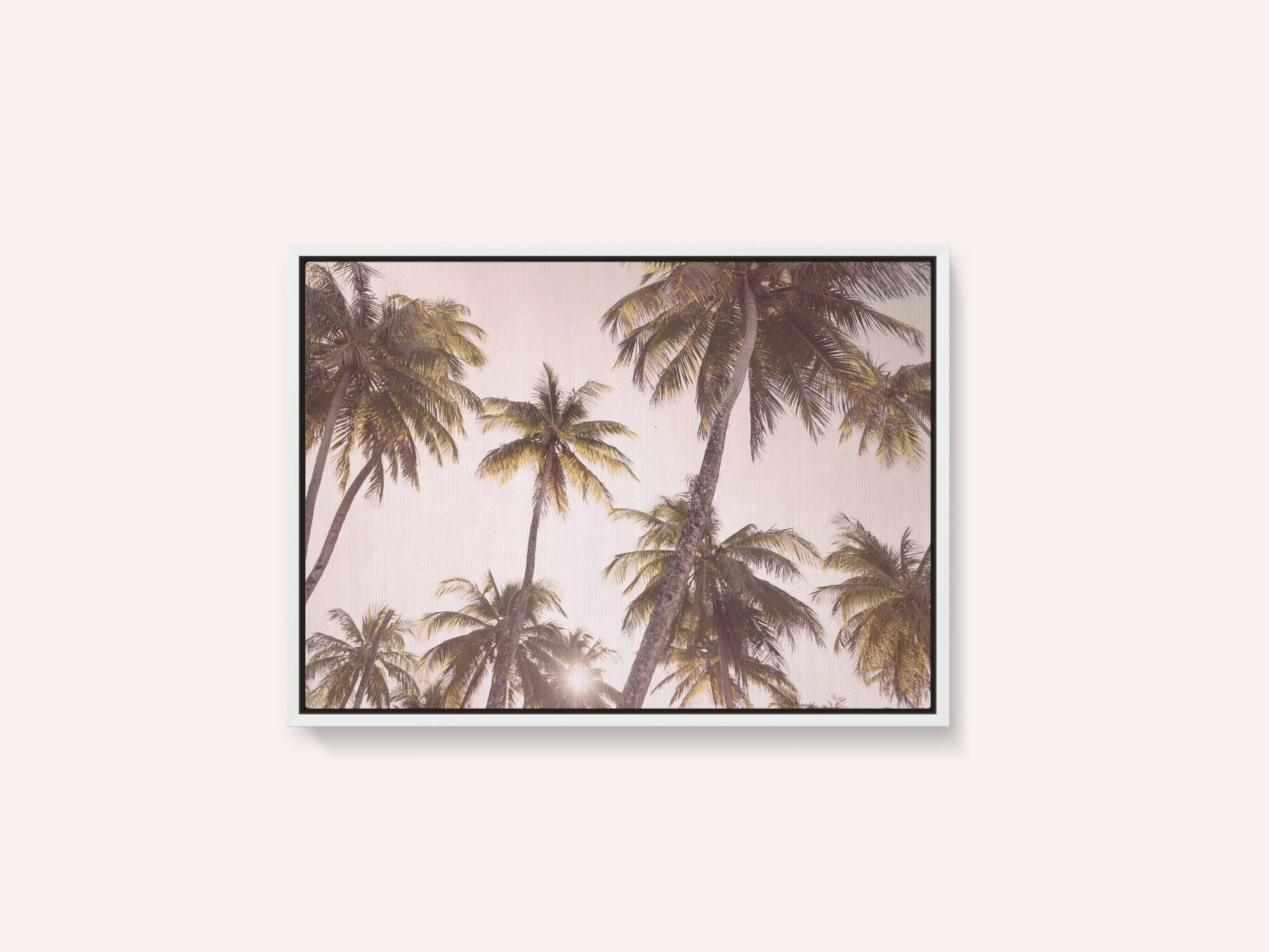 Blush Palm Trees