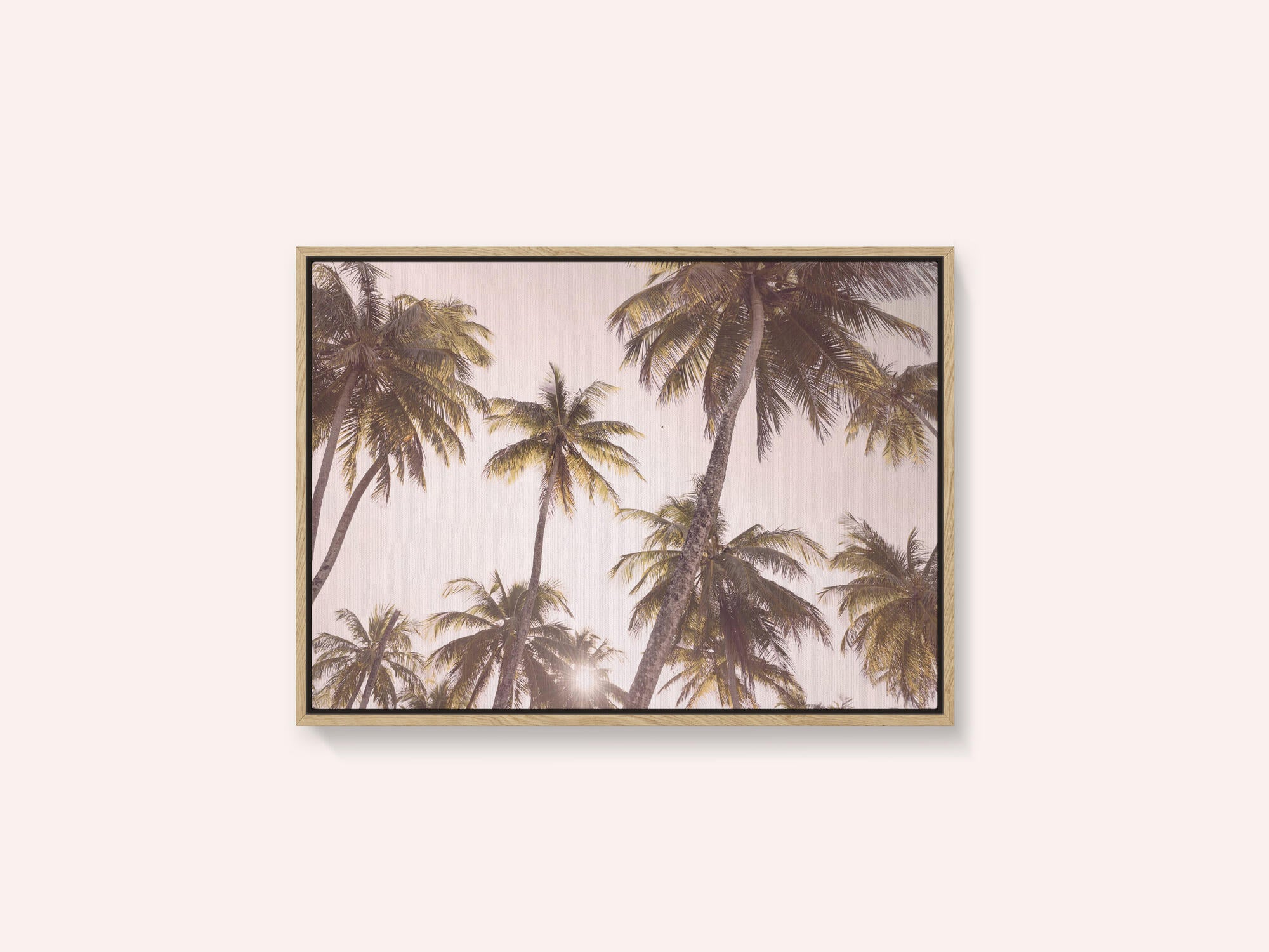 Blush Palm Trees