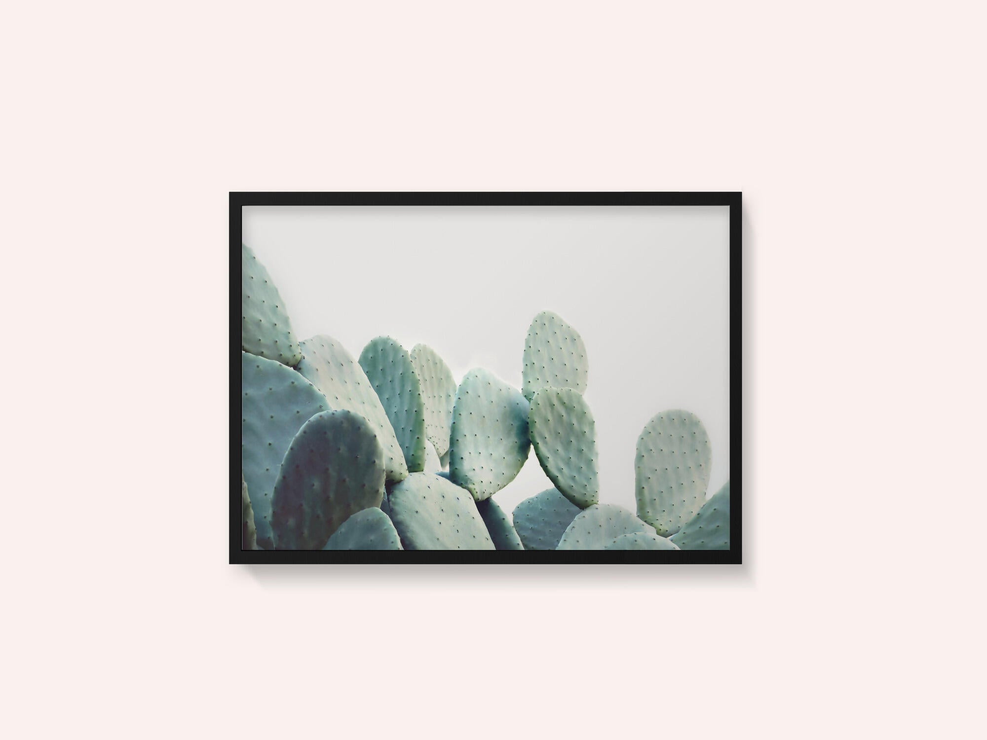 Pastel Cactus