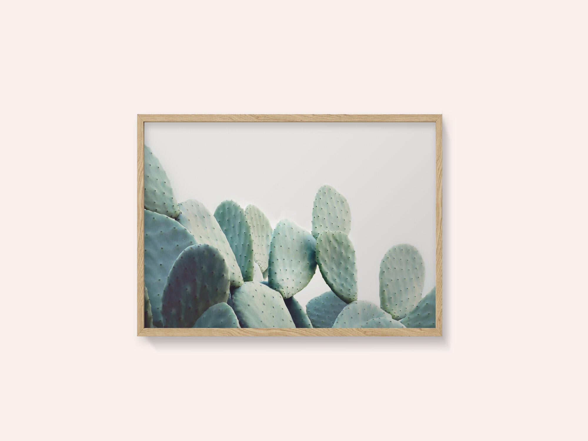 Pastel Cactus