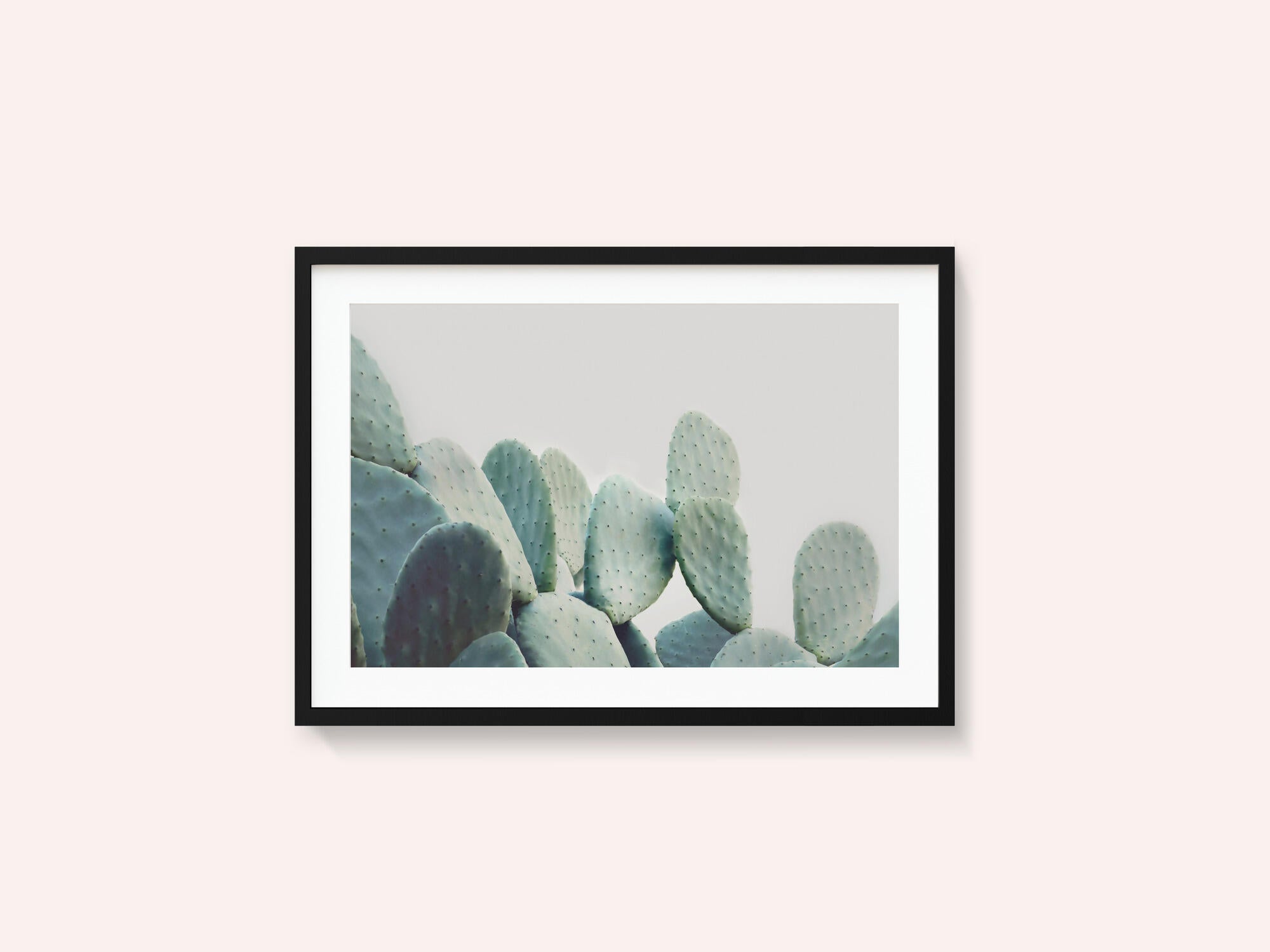 Pastel Cactus