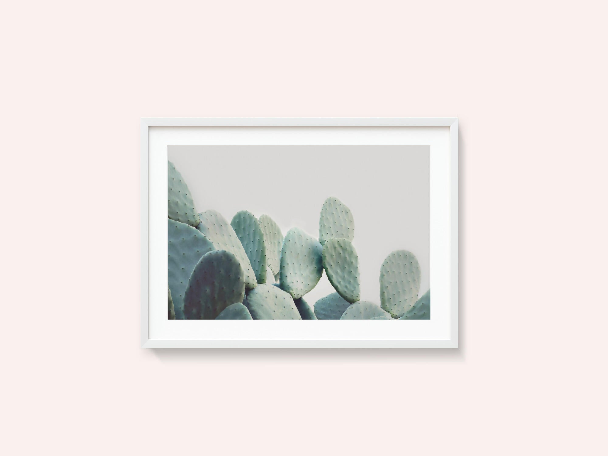 Pastel Cactus