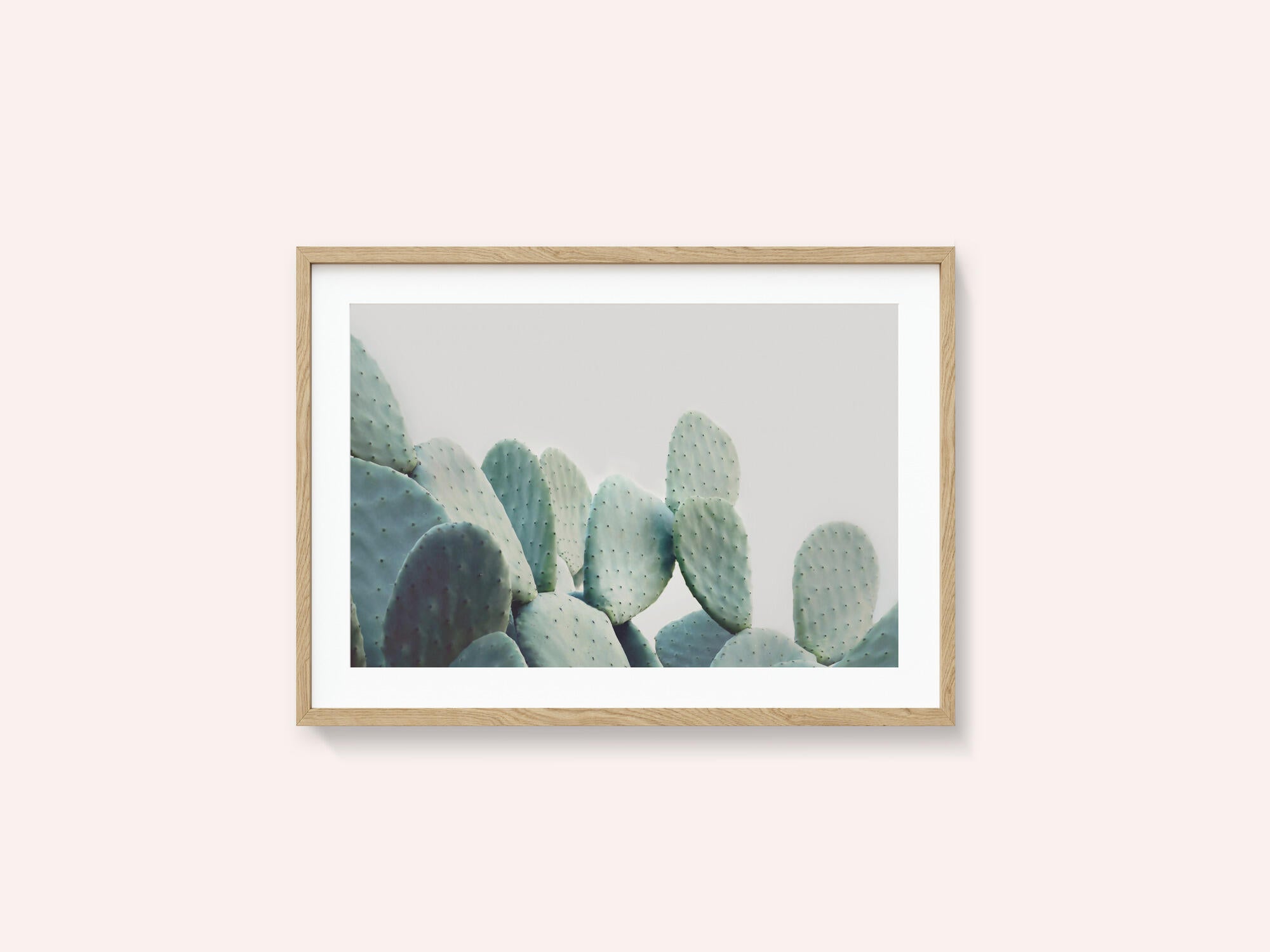 Pastel Cactus