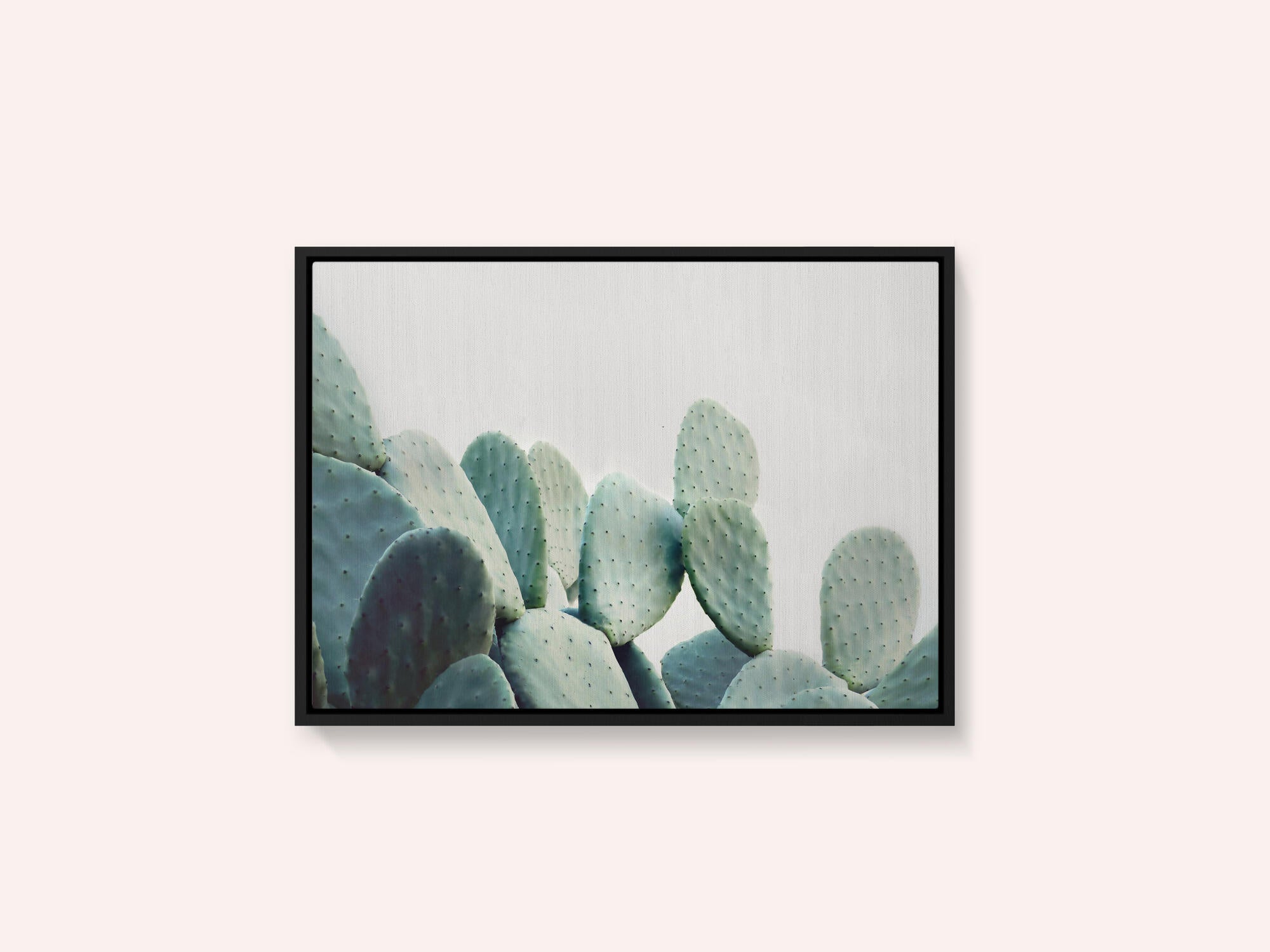 Pastel Cactus