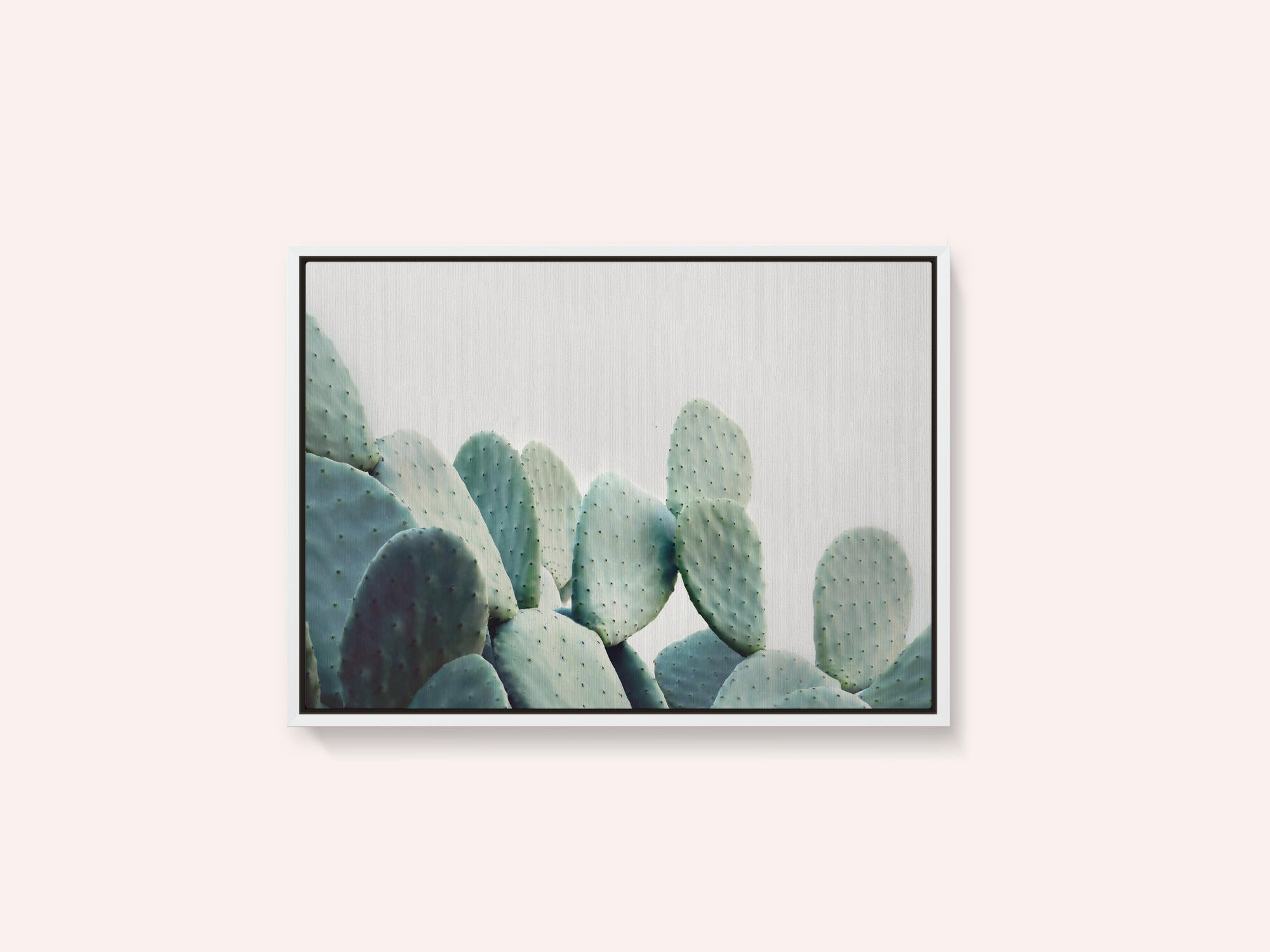Pastel Cactus
