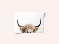 Peeking Cow