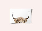 Peeking Cow