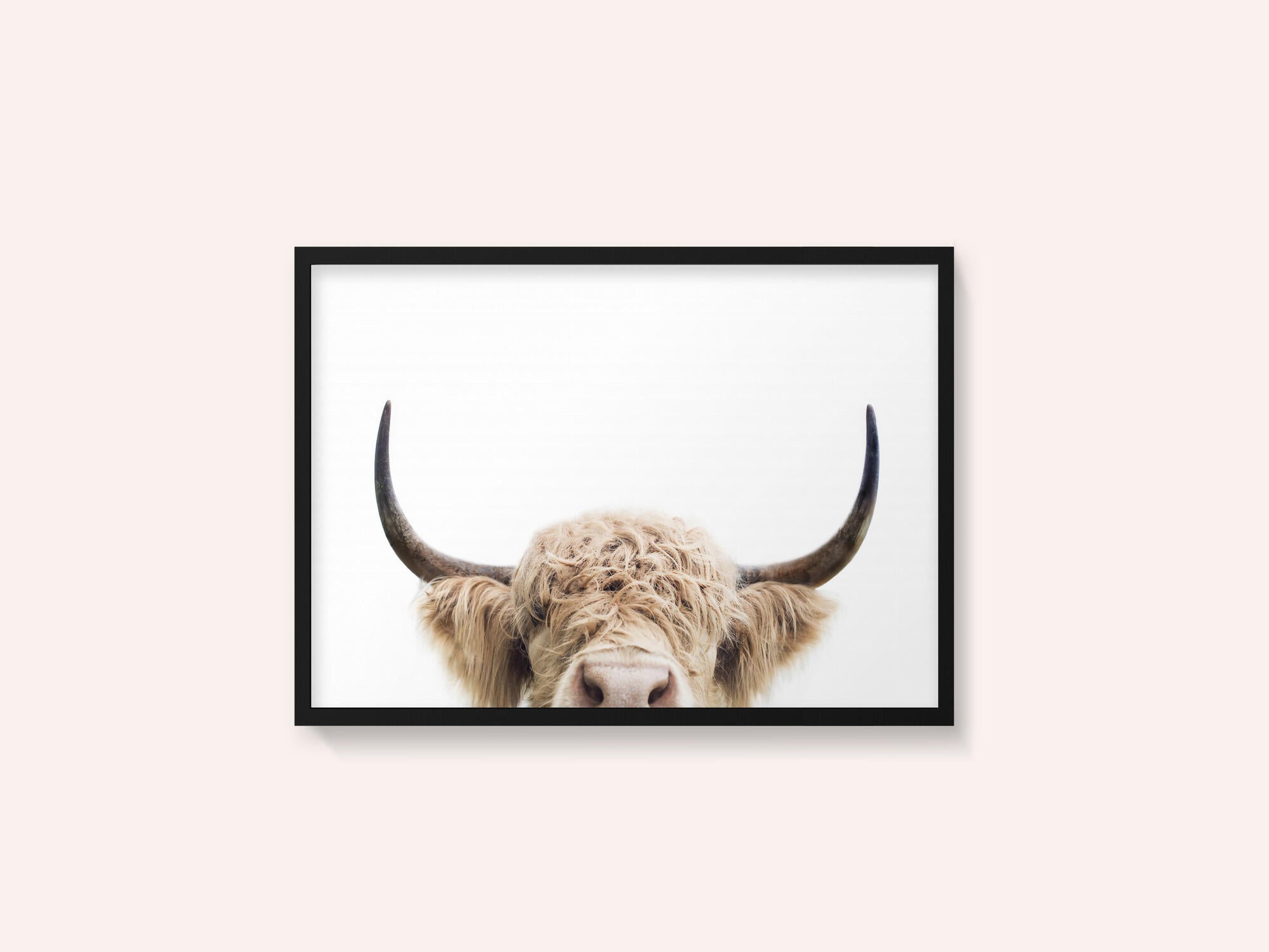 Peeking Cow