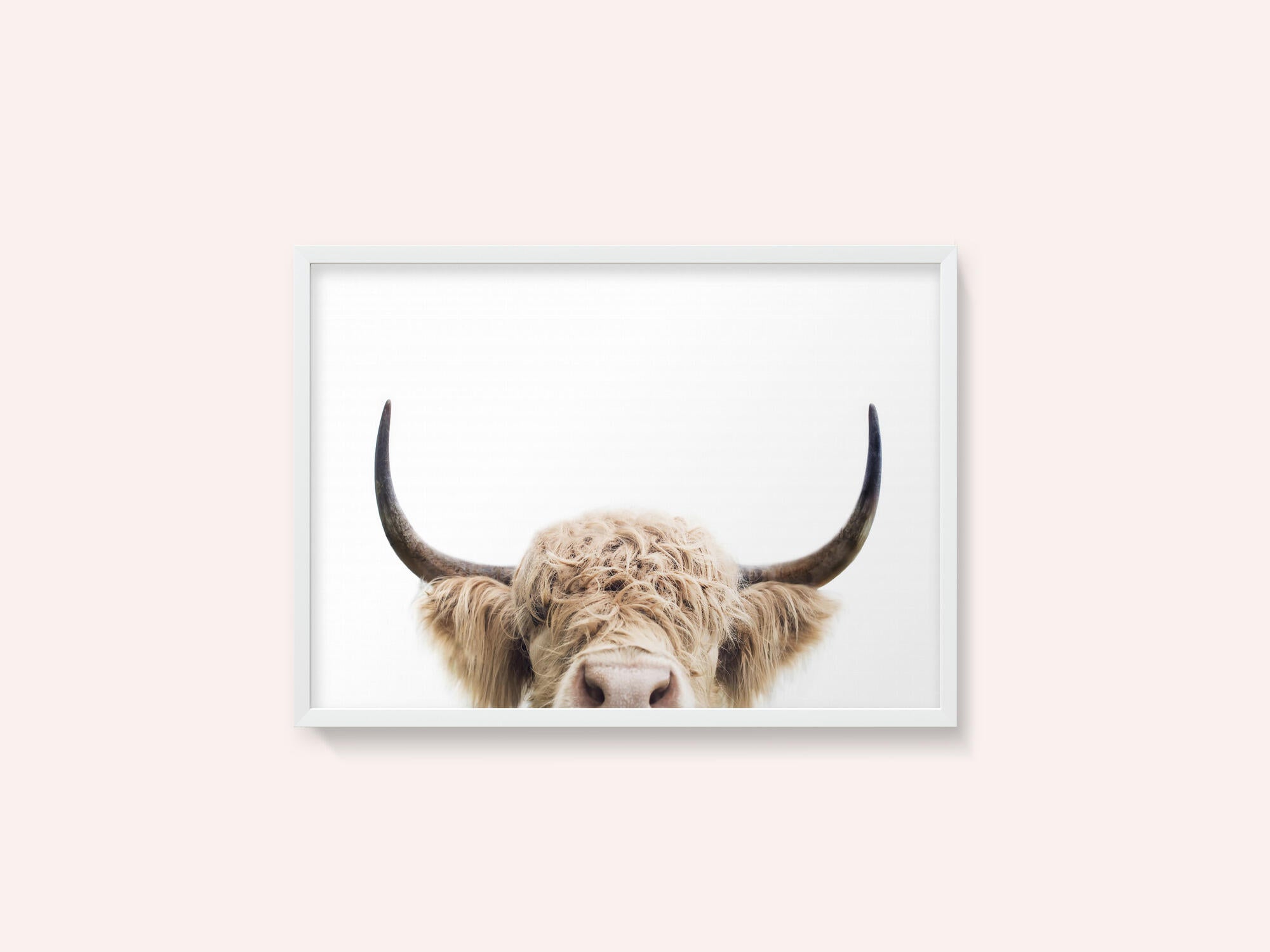 Peeking Cow