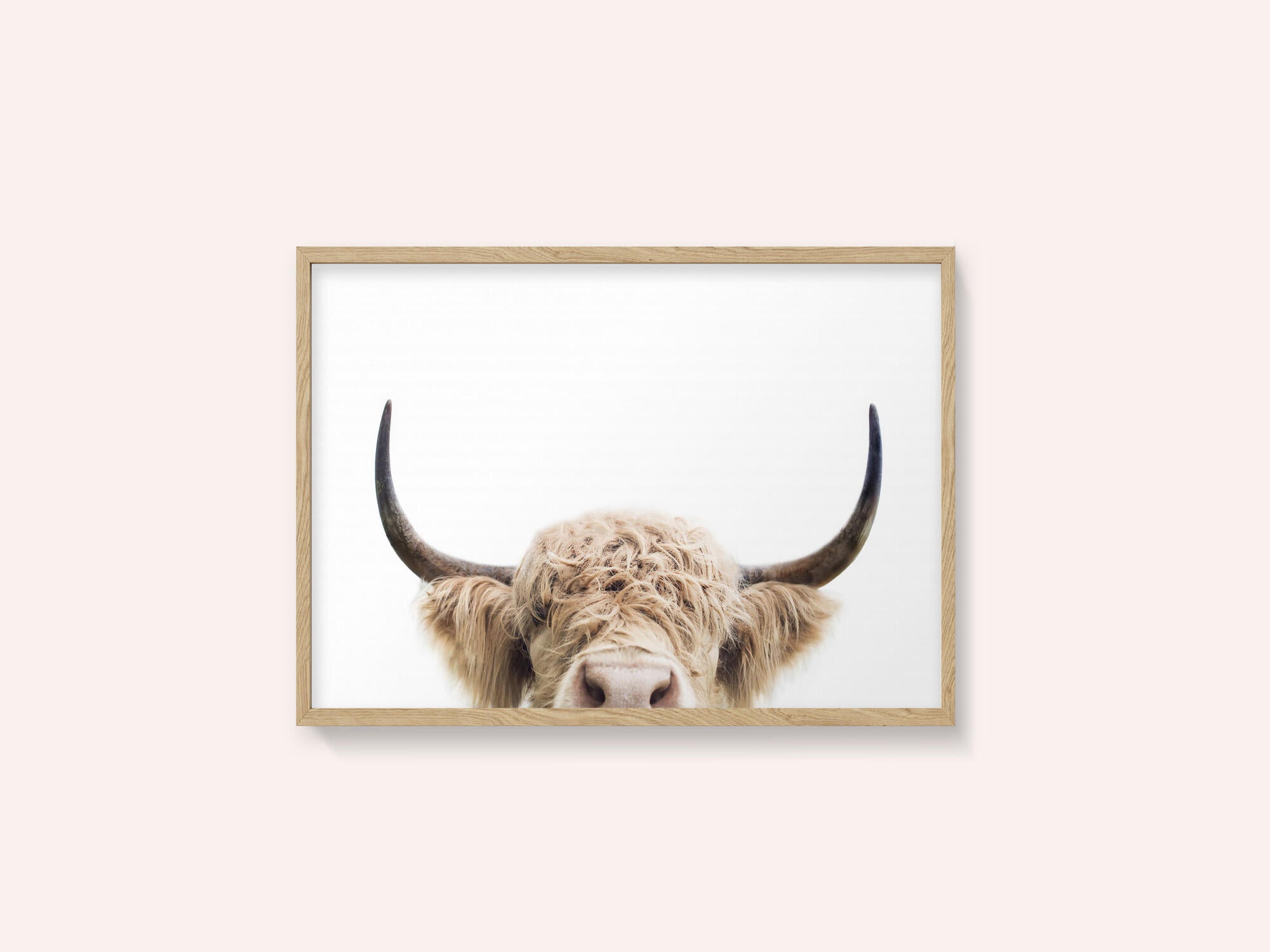 Peeking Cow