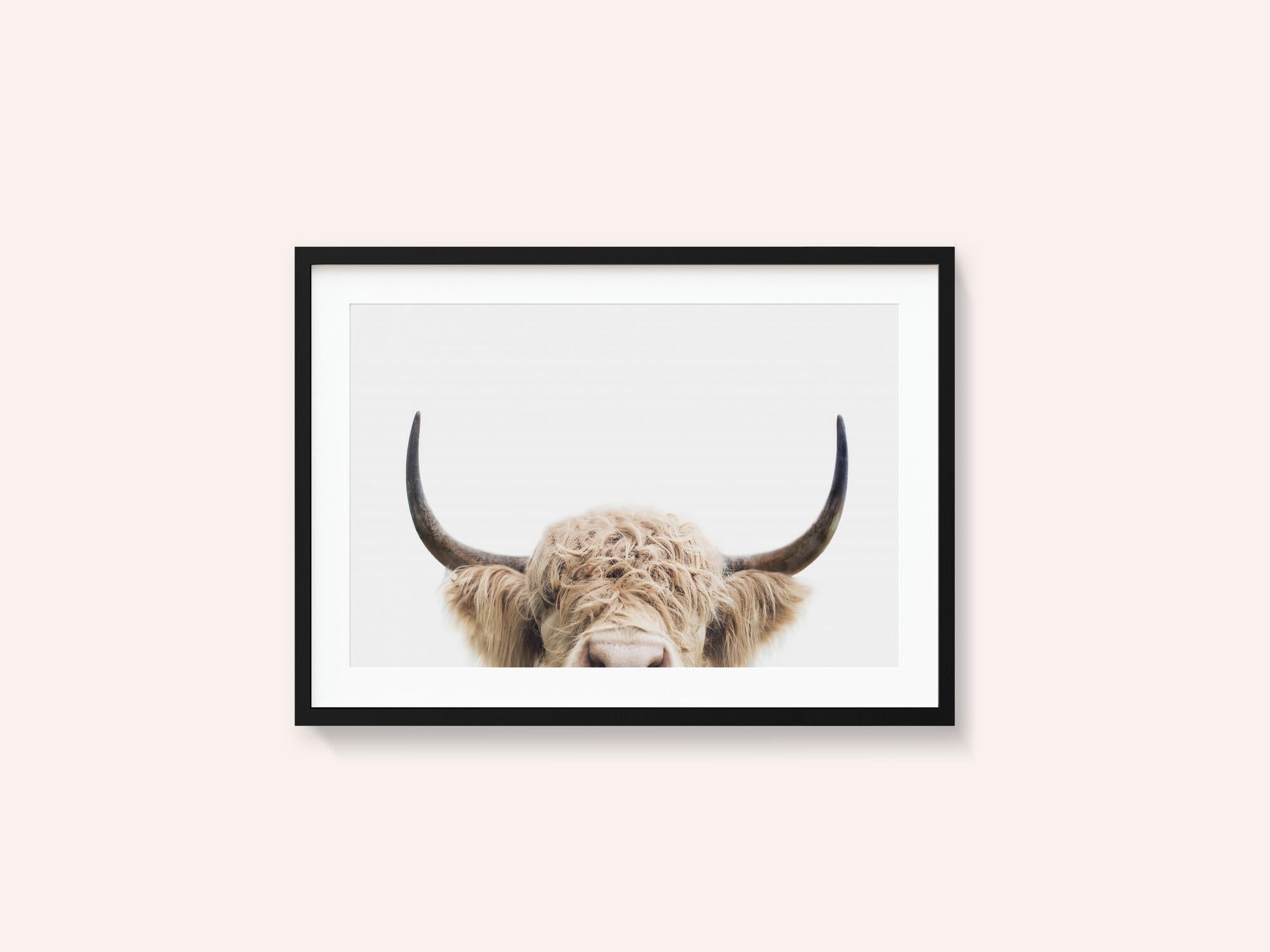 Peeking Cow