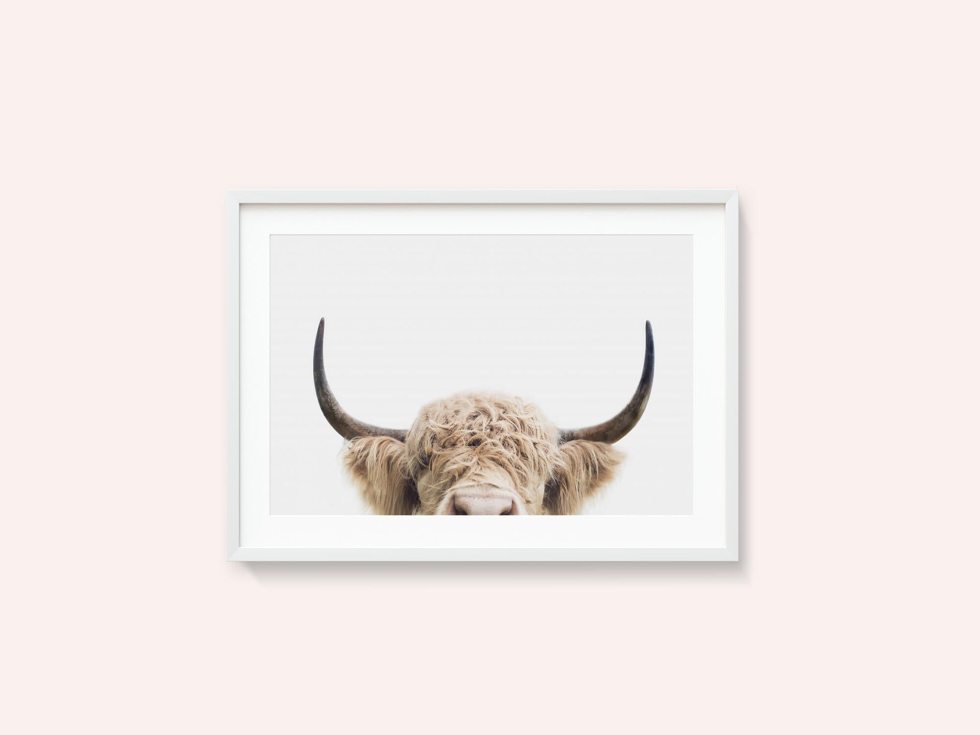 Peeking Cow